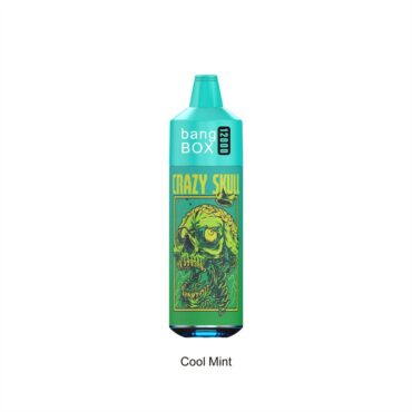 bang box 12000 puff