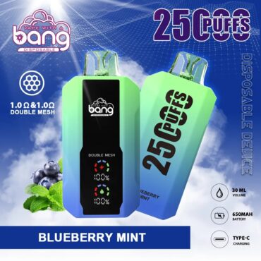 Puff Bang 25k Puffs MOQ 10pcs LED Display Disposable Vape Vaper Desechable Puff 25000