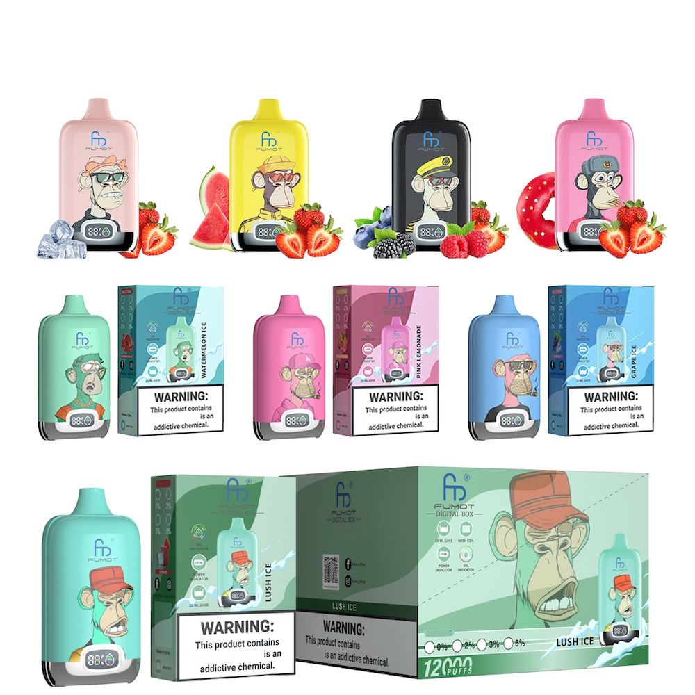 fumot RandM Digital Box 12000 puffs