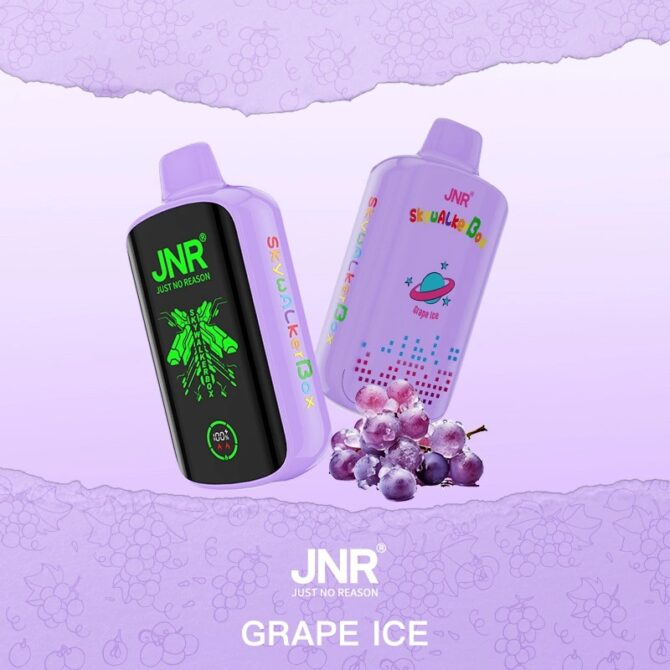 Original Jnr Skywalker Box 21000 Puffs with screen vapes Electronic Cigarette Sweden France German Vapes Puff 21k