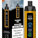 Al Fakher 8000 Pro Dual Mode