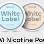 OEM Best Nicotine Pouches 3mg 6mg 15mg 20mg wholesale nicotine vape stores tobacco pouch