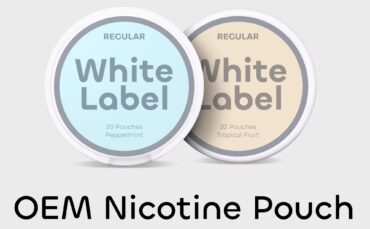 OEM Best Nicotine Pouches 3mg 6mg 15mg 20mg wholesale nicotine vape stores tobacco pouch