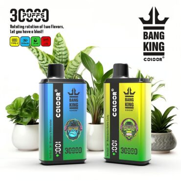 Bang 30000 Puffs Disposable Vape Dual Pod Dual Flavors Puff 30k