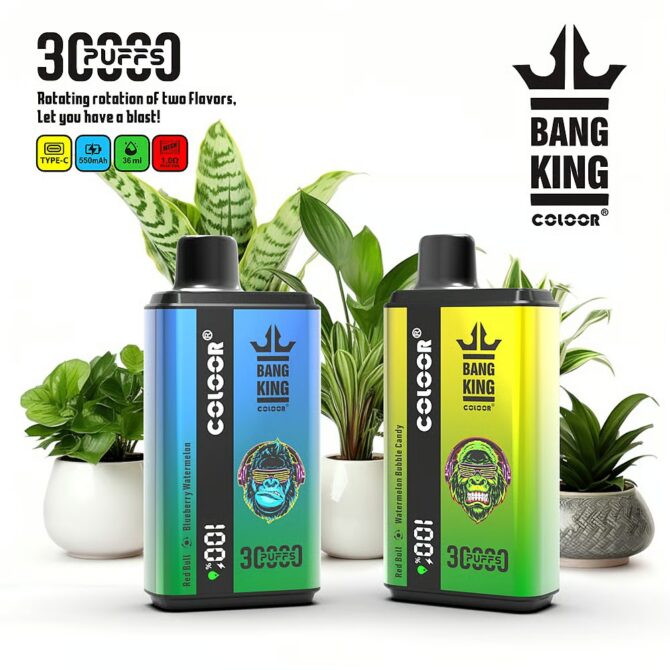 Bang 30000 Puffs Disposable Vape Dual Pod Dual Flavors Puff 30k
