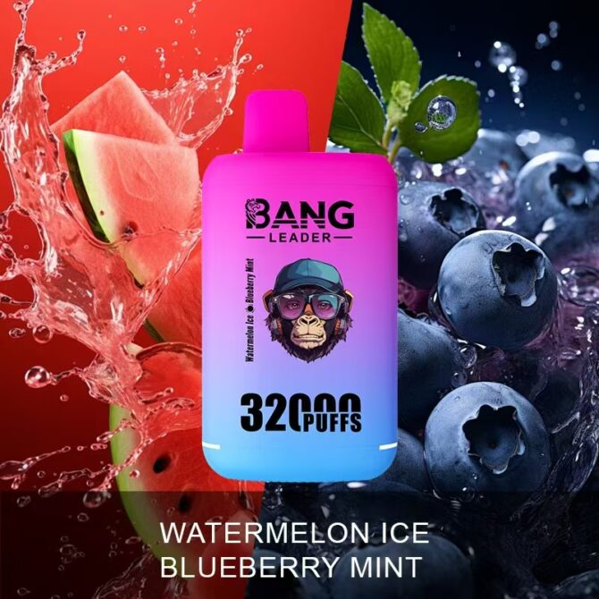 Bang leader 32k Puffs MOQ 10pcs dual flavors Disposable Vape Puff 32000