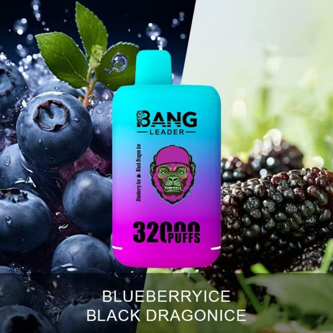 Bang leader 32k Puffs MOQ 10pcs dual flavors Disposable Vape Puff 32000