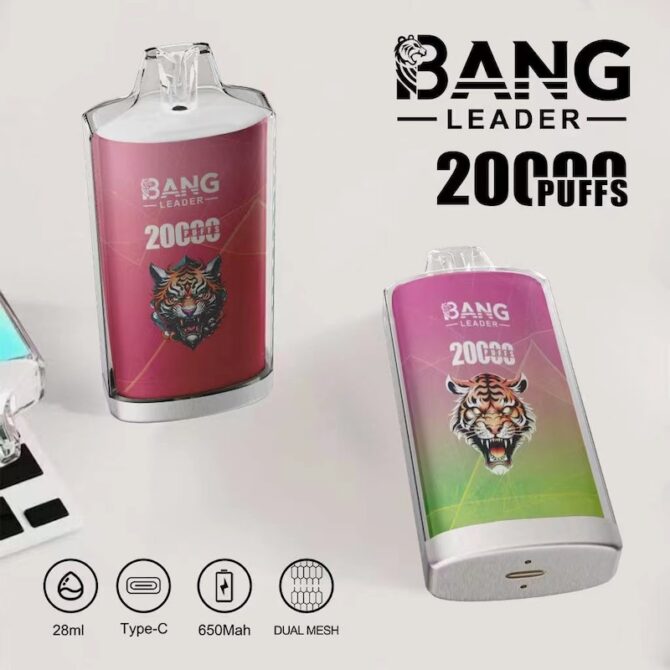 bang leader 20000 dual mesh  disposable vape puff 20k vaper