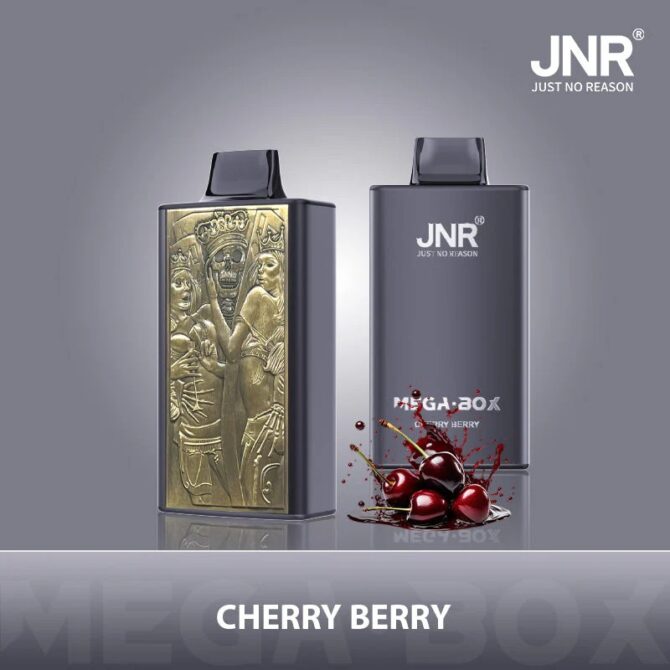 puff jnr Vape Mega Box 25000 puff cigarette cigarette electronique