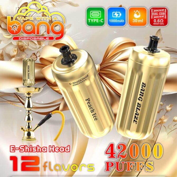 Bang Blaze 42000 Puffs 42K E-Shisha Head Rechargeable Disposable Vape