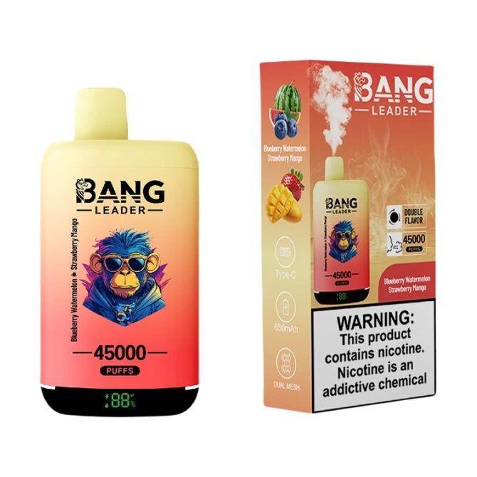 Bang Leader 45000 Mesh Coil Vape