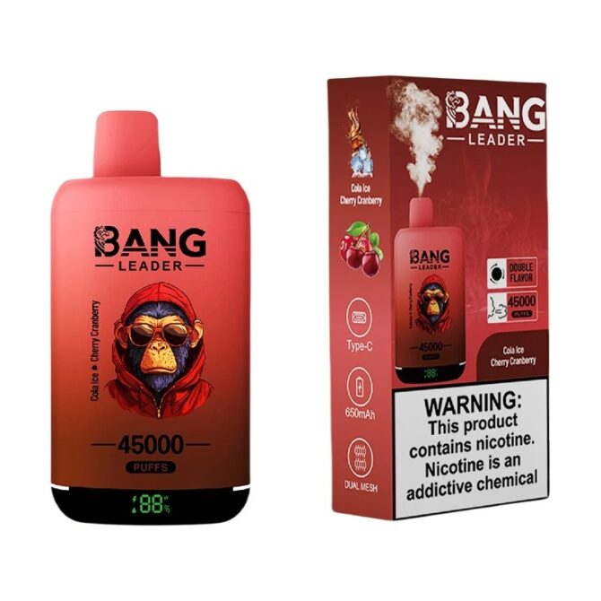 Longest Lasting Disposable Vape 45K Puffs
