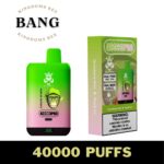 Bang Kingdoms Rex 40k PUFF VAPE Store