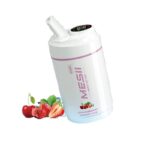 Mesii Shisha Heavy Hitter 50k DTL 50000 Puff