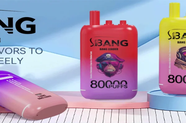 vape puff bang leader 80000