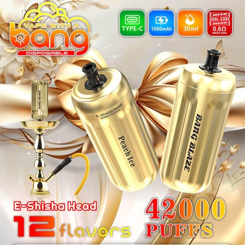 Bang-Blaze-E-Shisha-Head-42000-Puffs-800x800-1.jpeg Bang Blaze E Shisha Head 42000 Puffs 800x800 1