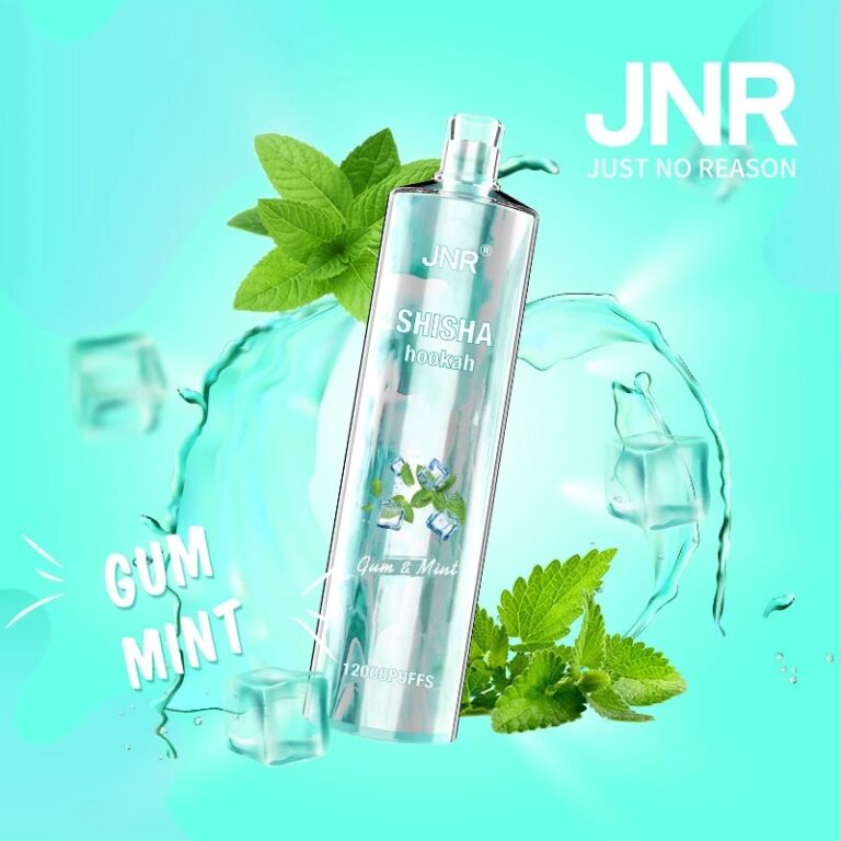 Hot Sale Original Brand Jnr Shisha Hookah 12000 Puffs Disposable Vape Pen 20 Flavors Rechargeable Electronic Cigarette 1