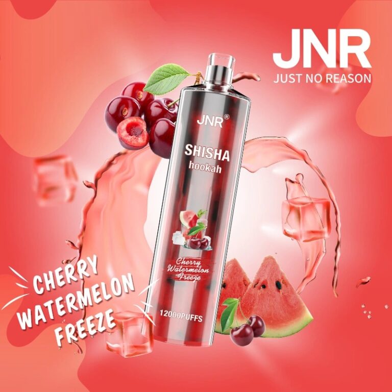Hot Sale Original Brand Jnr Shisha Hookah 12000 Puffs Disposable Vape Pen 20 Flavors Rechargeable Electronic Cigarette 3