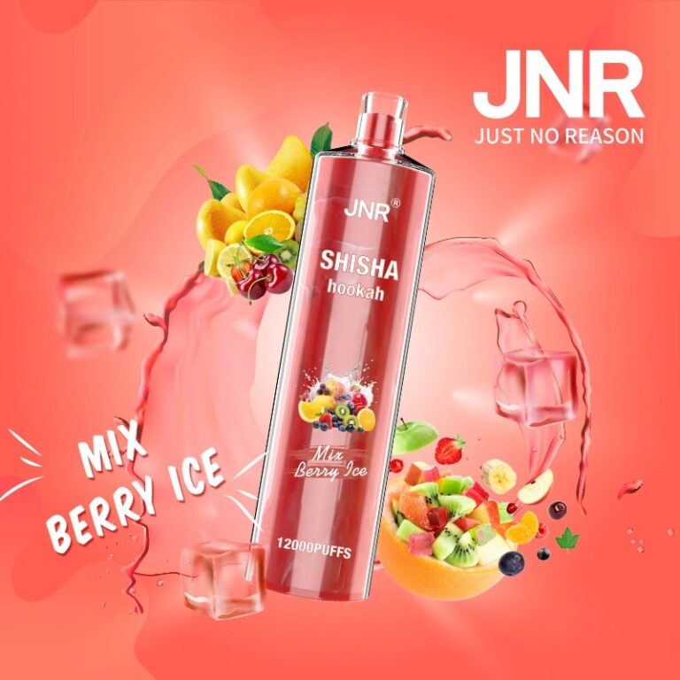 Hot Sale Original Brand Jnr Shisha Hookah 12000 Puffs Disposable Vape Pen 20 Flavors Rechargeable Electronic Cigarette 4
