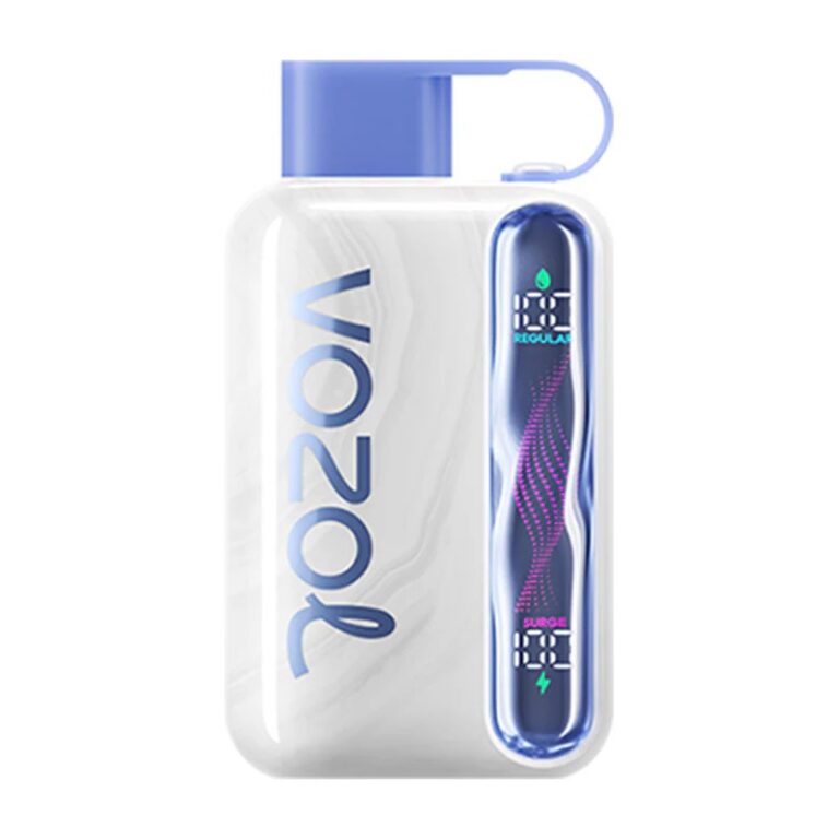 Vozol Star 40k Puffs LED Screen Low Nicotine Bulk Buy Original Rechargeable Disposable Vapes Wholesale 1