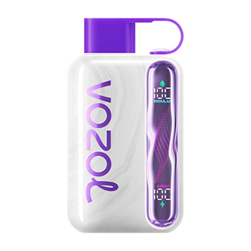 Vozol-Star-40k-Puffs-LED-Screen-Low-Nicotine-Bulk-Buy-Original-Rechargeable-Disposable-Vapes-Wholesale-2.jpeg Vozol Star 40k Puffs LED Screen Low Nicotine Bulk Buy Original Rechargeable Disposable Vapes Wholesale 2