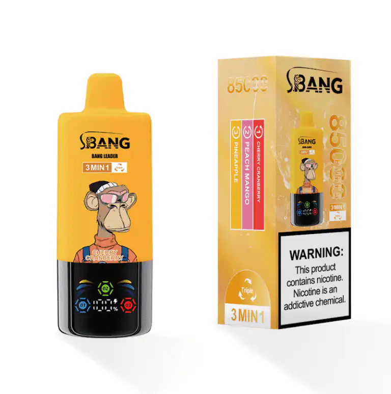 Big Bang Leader 85K Disposable Vape Pen | 85000 Puffs | 850mAh Mesh Coil | Type-C Charging | OEM/ODM Support